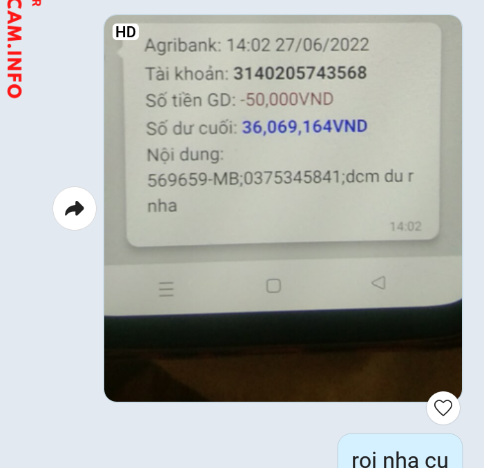 証拠ファイル